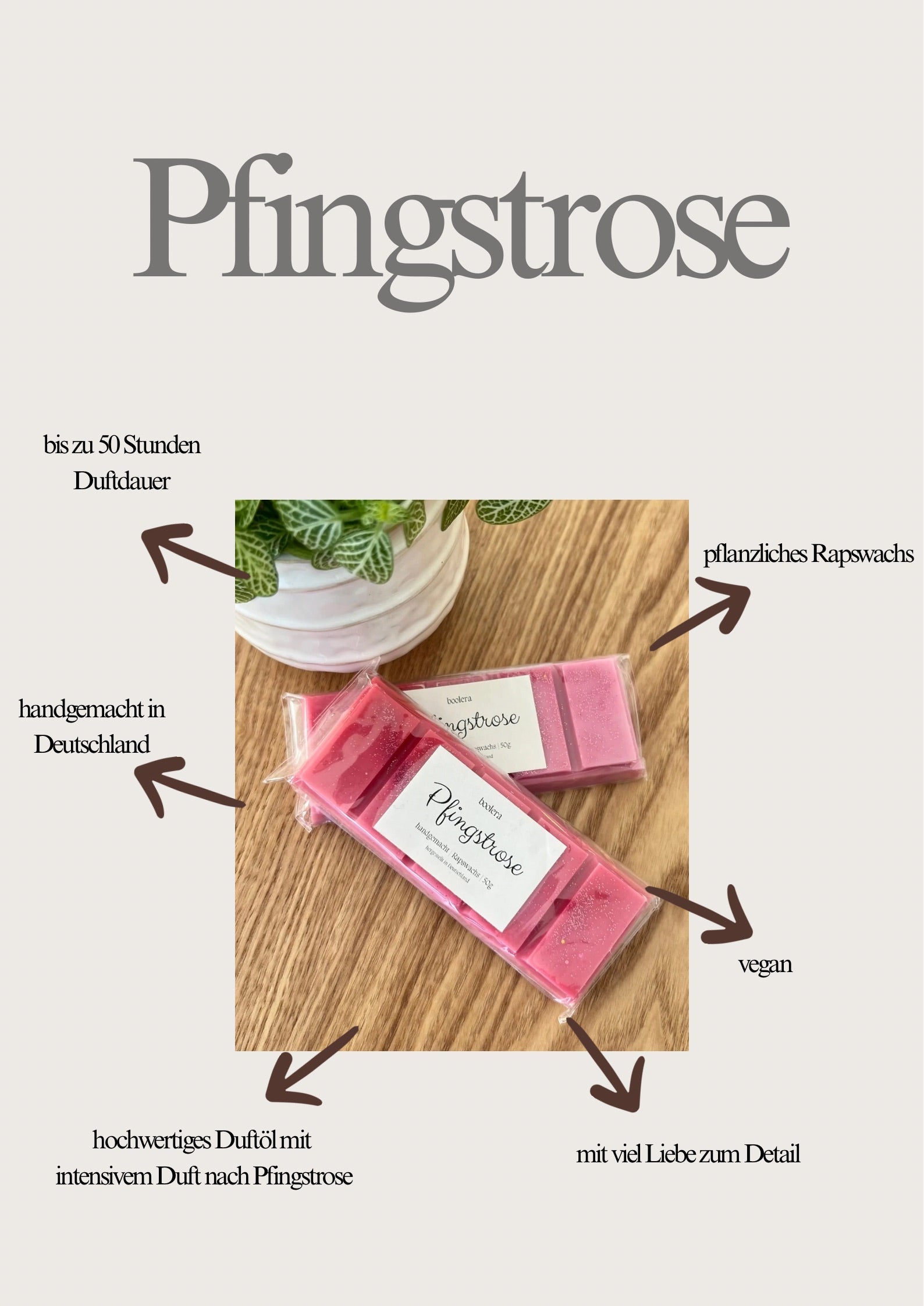 Duftwachs Pfingstrose