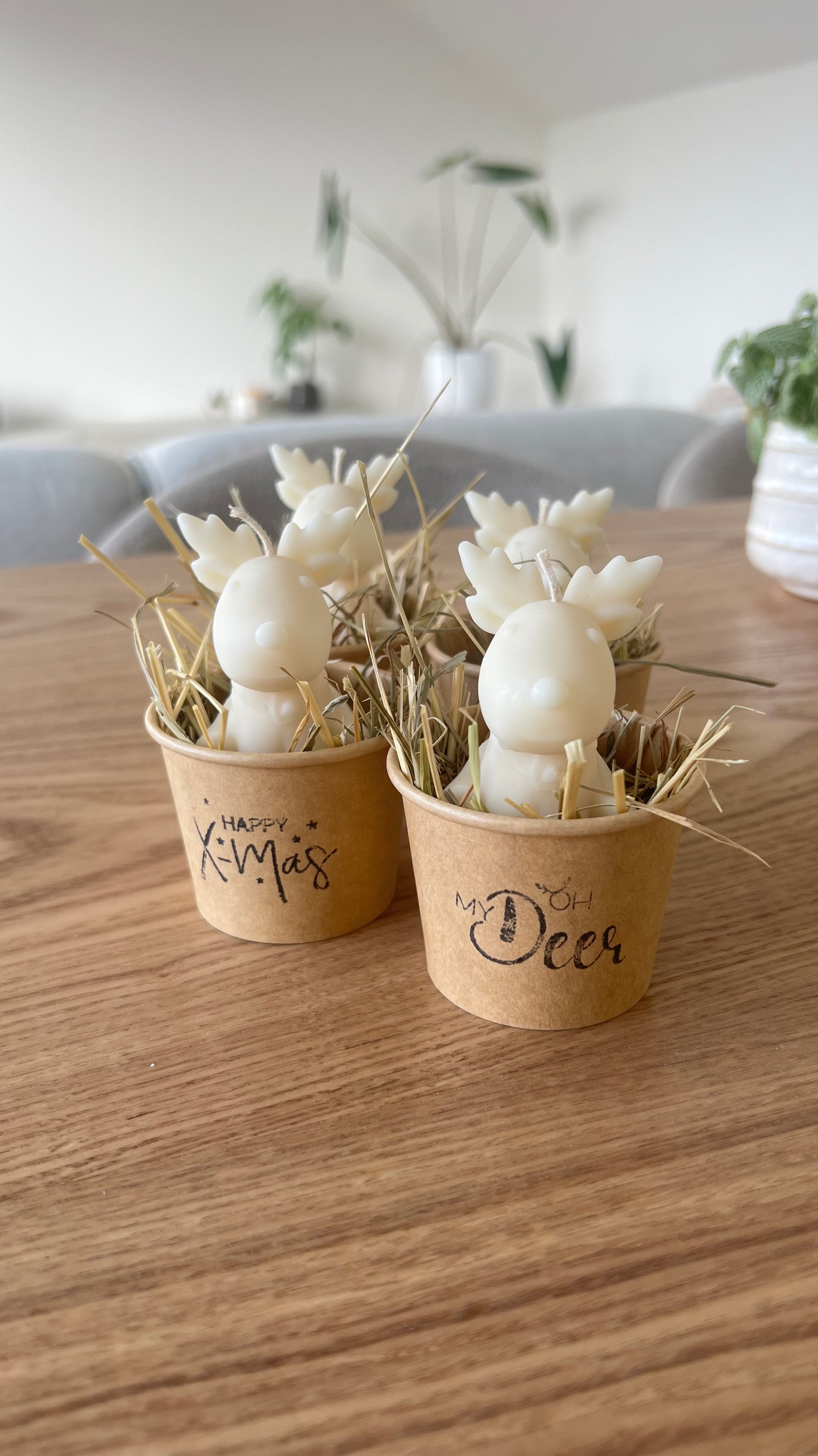 Mini Elch Kerze im Töpfchen